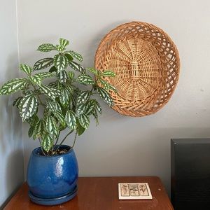 Vintage Wicker Oval Basket